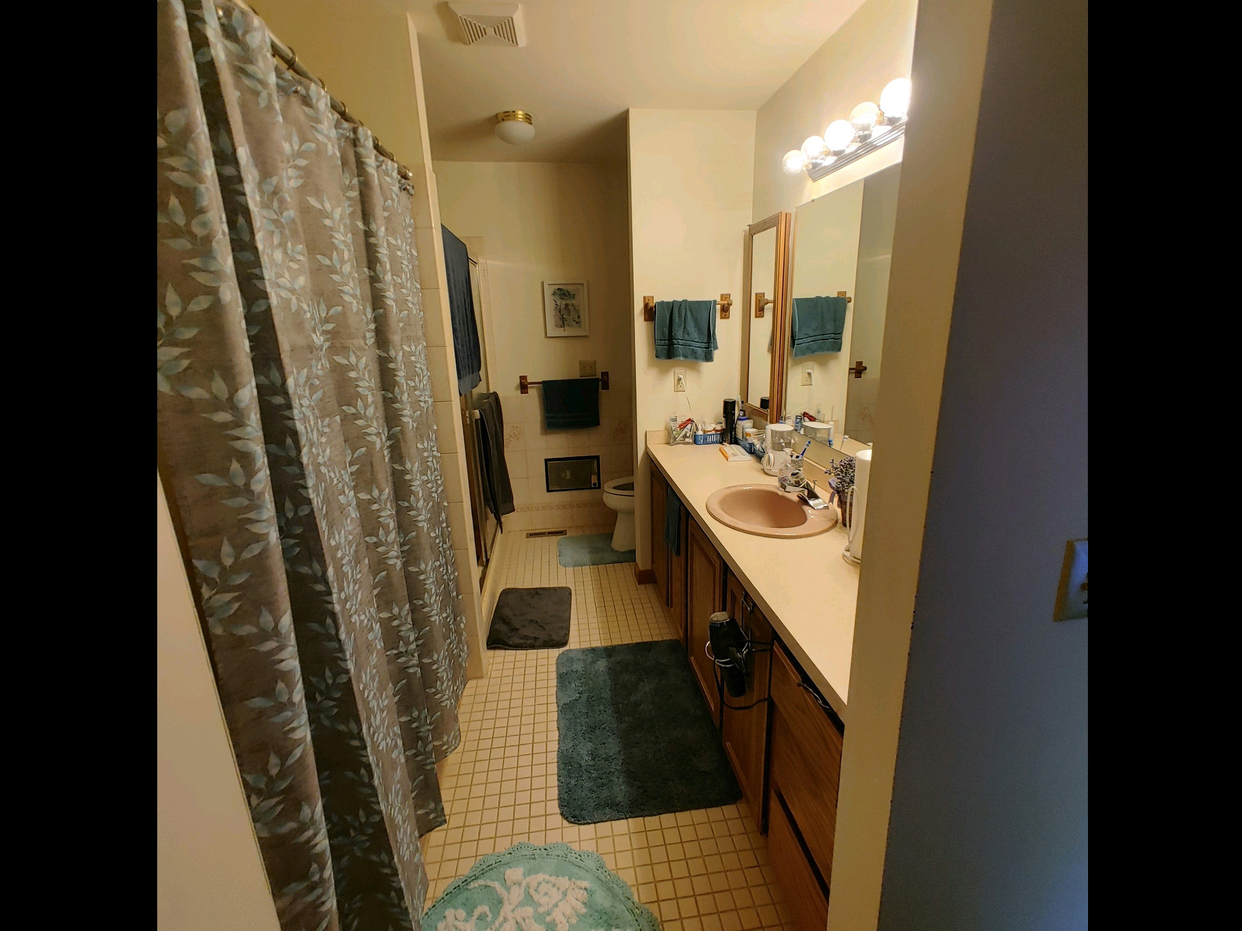 Bathroom Before